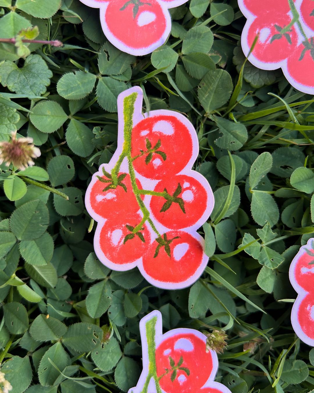 Red Tomato Bunch - Veggie Art Sticker - Gardening Gifts
