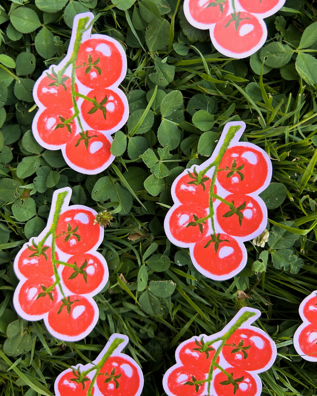 Red Tomato Bunch - Veggie Art Sticker - Gardening Gifts